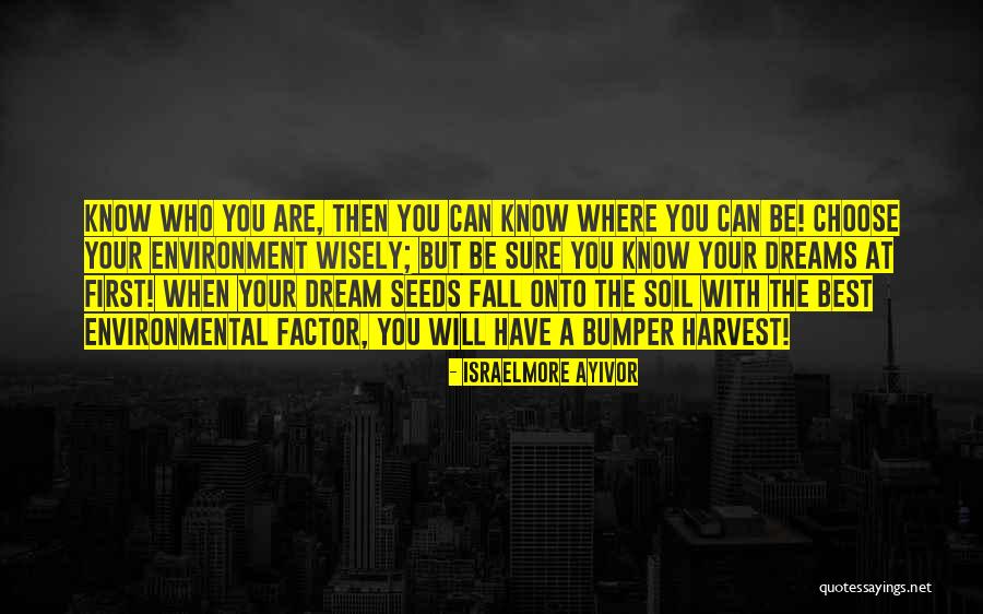 Fall Harvest Quotes By Israelmore Ayivor Fall Harvest Quotes By Israelmore Ayivor