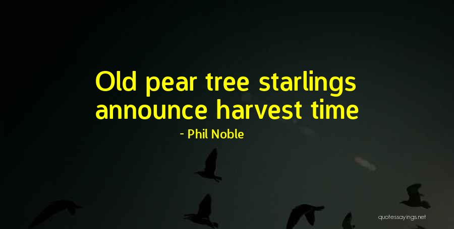 Fall Harvest Quotes By Phil Noble Fall Harvest Quotes By Phil Noble