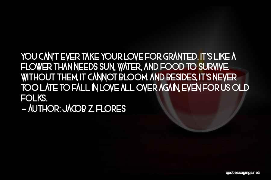 Fall In Love All Over Again Quotes By Jacob Z. Flores