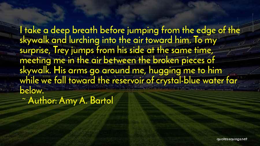 Fall Into My Arms Quotes By Amy A. Bartol