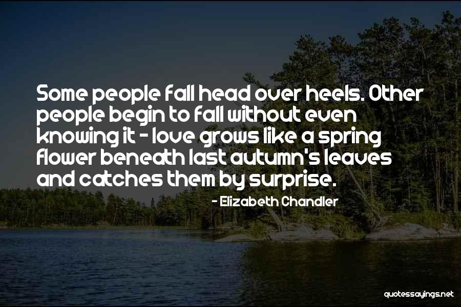 Fall Leaves And Love Quotes By Elizabeth Chandler Fall Leaves And Love Quotes By Elizabeth Chandler
