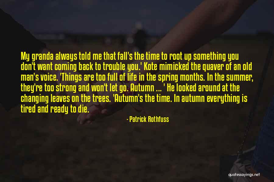 Fall Leaves And Love Quotes By Patrick Rothfuss Fall Leaves And Love Quotes By Patrick Rothfuss