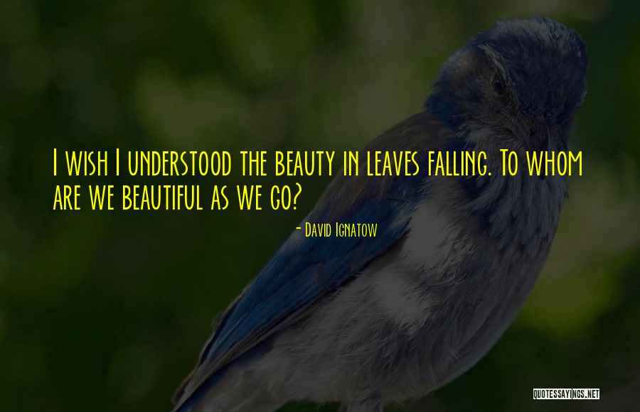 Fall Leaves Falling Quotes By David Ignatow Fall Leaves Falling Quotes By David Ignatow