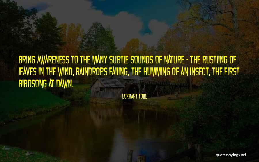 Fall Leaves Falling Quotes By Eckhart Tolle Fall Leaves Falling Quotes By Eckhart Tolle