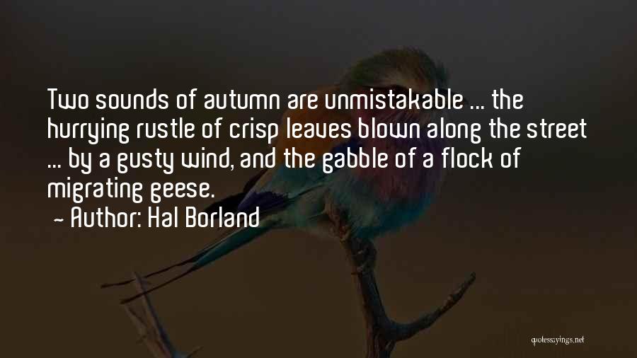 Fall Leaves Quotes By Hal Borland