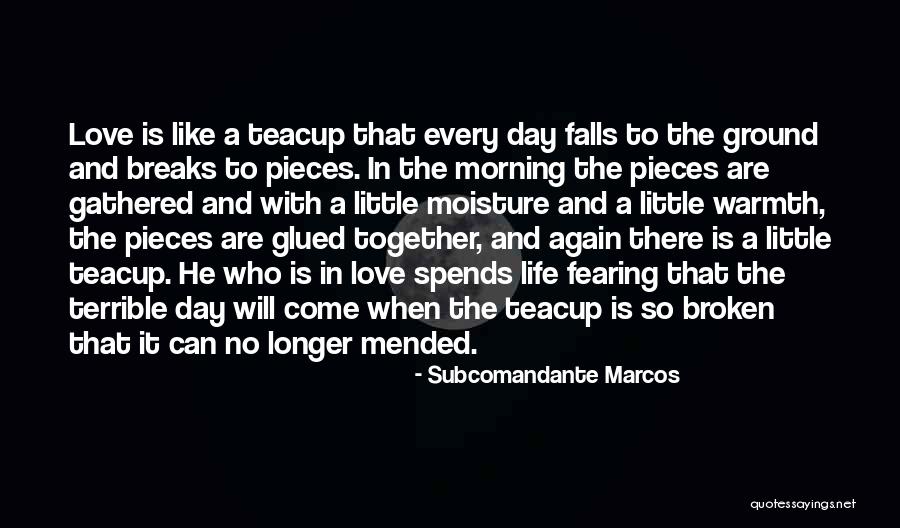 Fall Morning Quotes By Subcomandante Marcos Fall Morning Quotes By Subcomandante Marcos