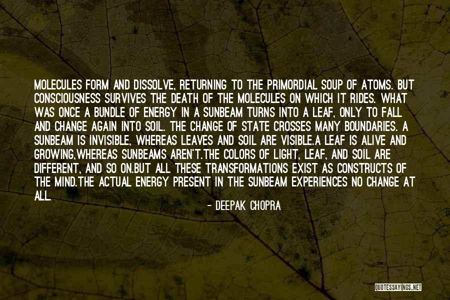 Fall Of A Leaf Quotes By Deepak Chopra Fall Of A Leaf Quotes By Deepak Chopra