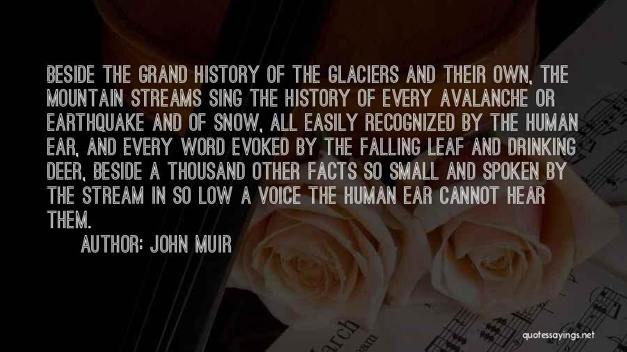 Fall Of A Leaf Quotes By John Muir