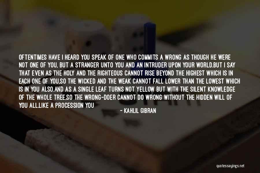 Fall Of A Leaf Quotes By Kahlil Gibran Fall Of A Leaf Quotes By Kahlil Gibran