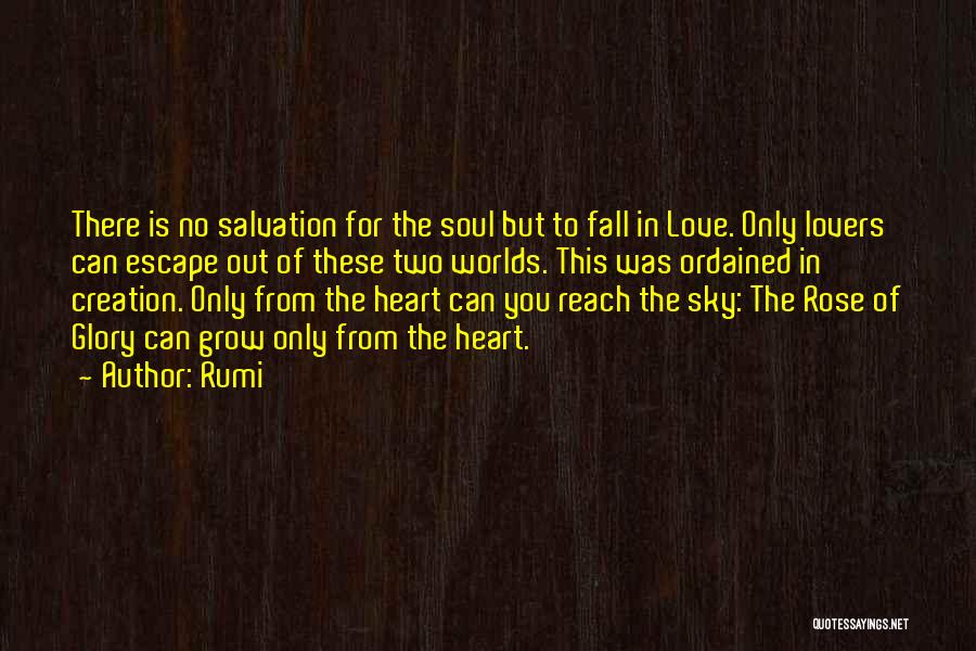 Fall Of Reach Quotes By Rumi