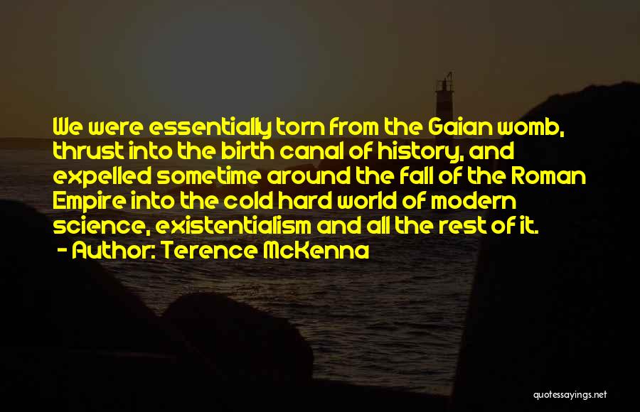 Fall Of The Roman Empire Quotes By Terence McKenna