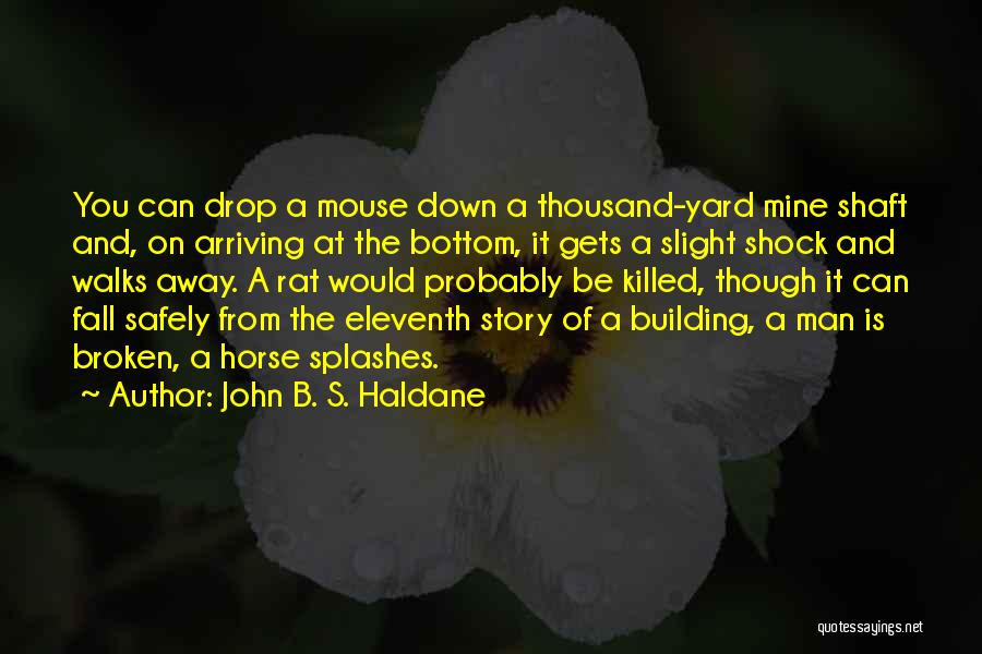 Fall Off Horse Quotes By John B. S. Haldane