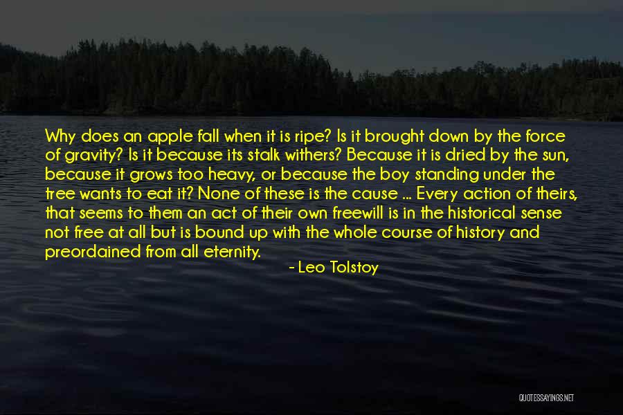 Fall Out Boy Best Quotes By Leo Tolstoy Fall Out Boy Best Quotes By Leo Tolstoy