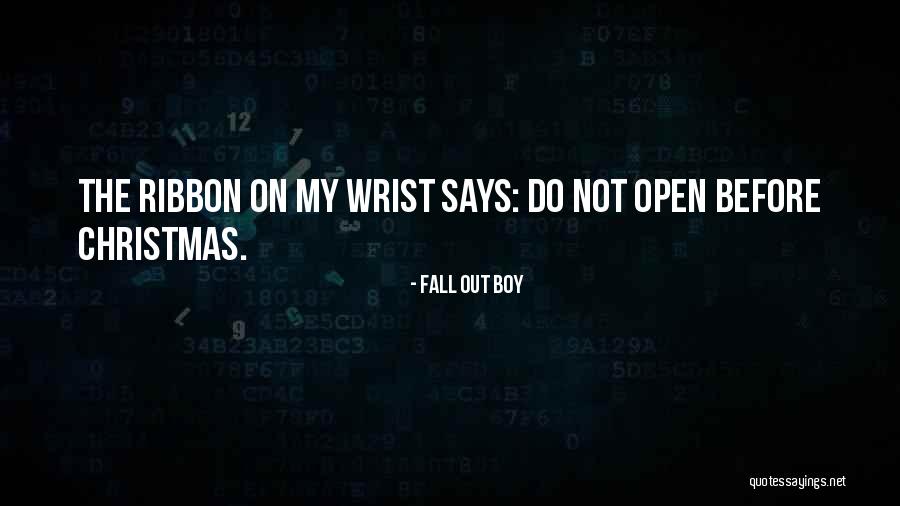 Fall Out Boy Quotes 1808354