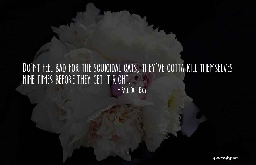 Fall Out Boy Quotes 877014