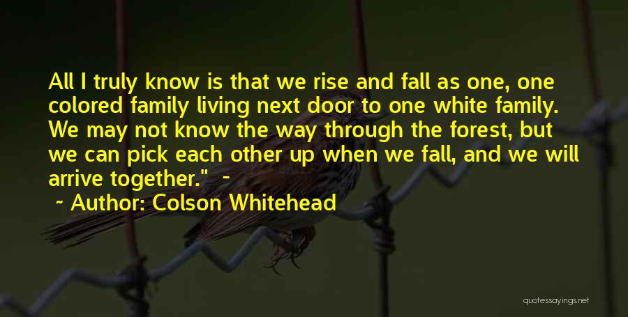 Fall Pick Yourself Up Quotes By Colson Whitehead