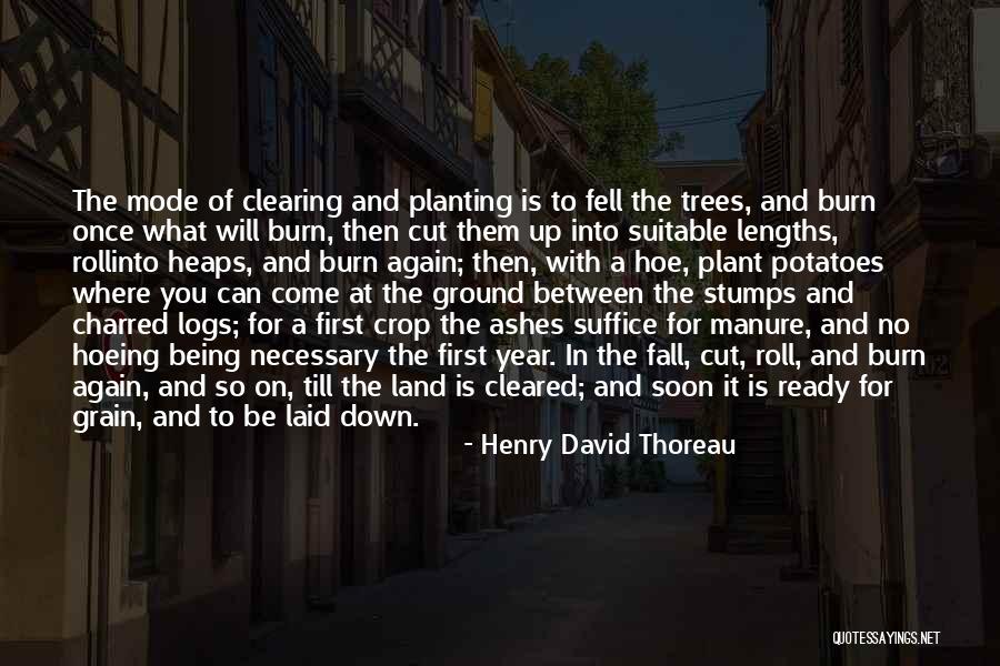 Fall Planting Quotes By Henry David Thoreau Fall Planting Quotes By Henry David Thoreau
