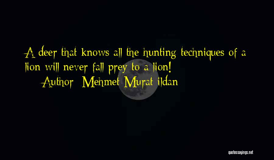 Fall Prey Quotes By Mehmet Murat Ildan