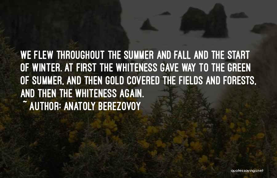 Fall To Winter Quotes By Anatoly Berezovoy