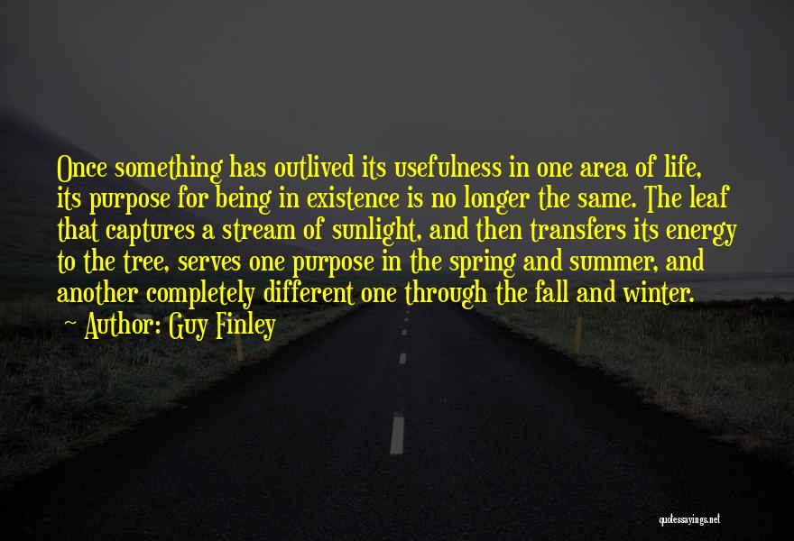 Fall To Winter Quotes By Guy Finley