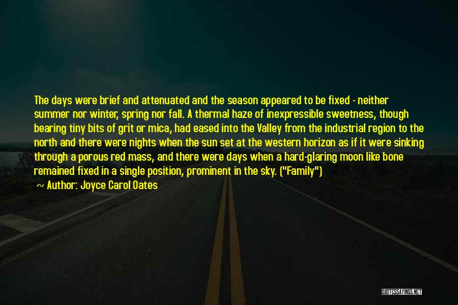 Fall To Winter Quotes By Joyce Carol Oates