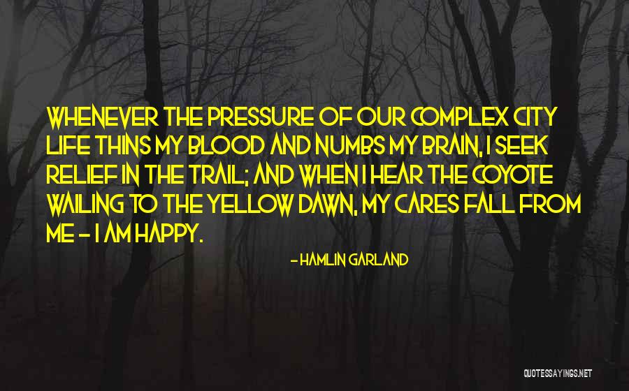 Fall When Quotes By Hamlin Garland Fall When Quotes By Hamlin Garland