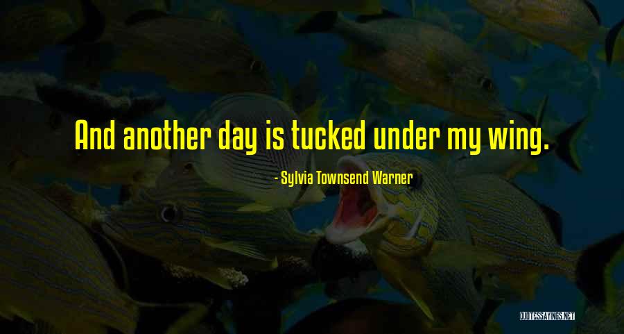 Fallacaro Quotes By Sylvia Townsend Warner Fallacaro Quotes By Sylvia Townsend Warner