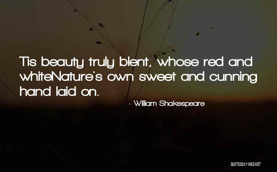Fallacy Of Imitative Form Quotes By William Shakespeare Fallacy Of Imitative Form Quotes By William Shakespeare