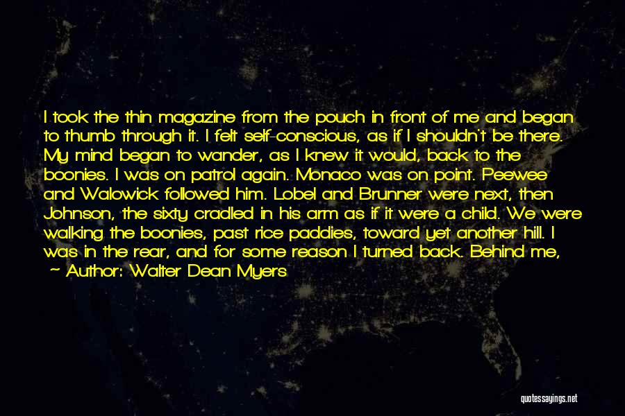 Fallen Angels Brunner Quotes By Walter Dean Myers