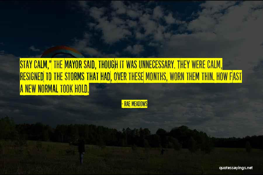 Fallen Brothers Quotes By Rae Meadows Fallen Brothers Quotes By Rae Meadows
