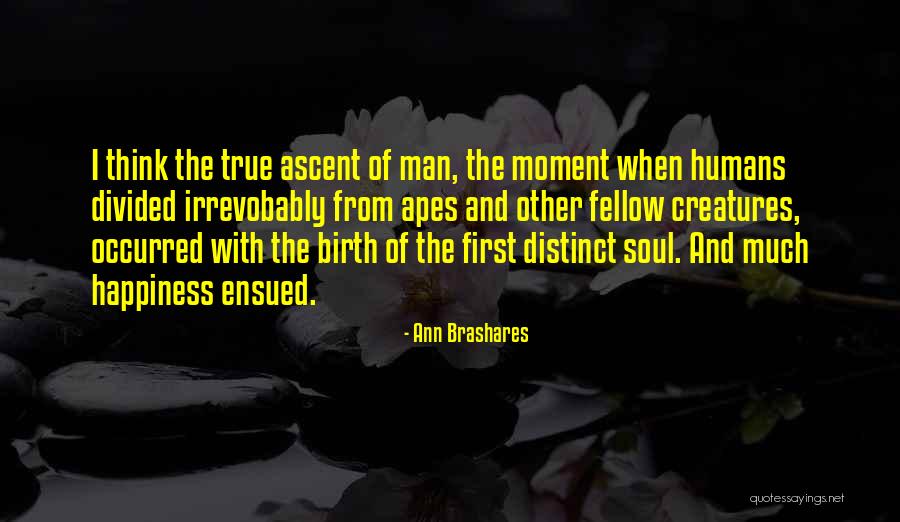 Fallen Leaves Of Winter Quotes By Ann Brashares Fallen Leaves Of Winter Quotes By Ann Brashares