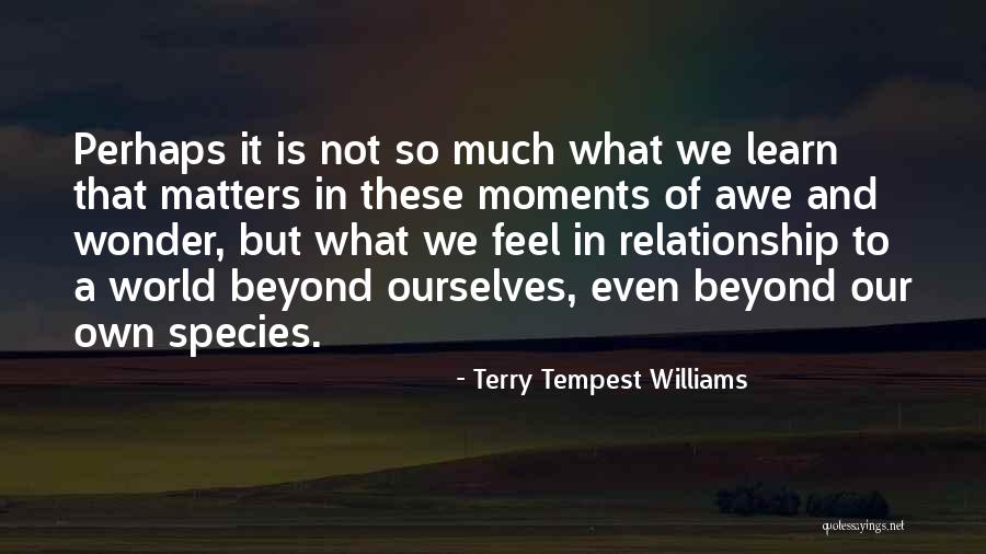 Fallen Leaves Of Winter Quotes By Terry Tempest Williams Fallen Leaves Of Winter Quotes By Terry Tempest Williams