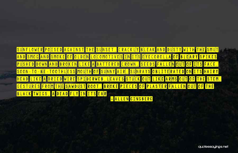 Fallen Leaves Quotes By Allen Ginsberg Fallen Leaves Quotes By Allen Ginsberg