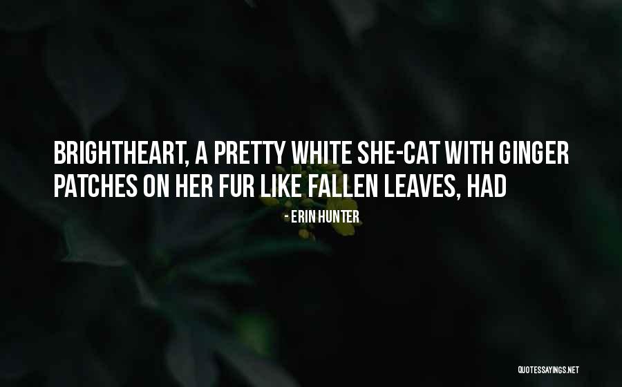 Fallen Leaves Quotes By Erin Hunter Fallen Leaves Quotes By Erin Hunter
