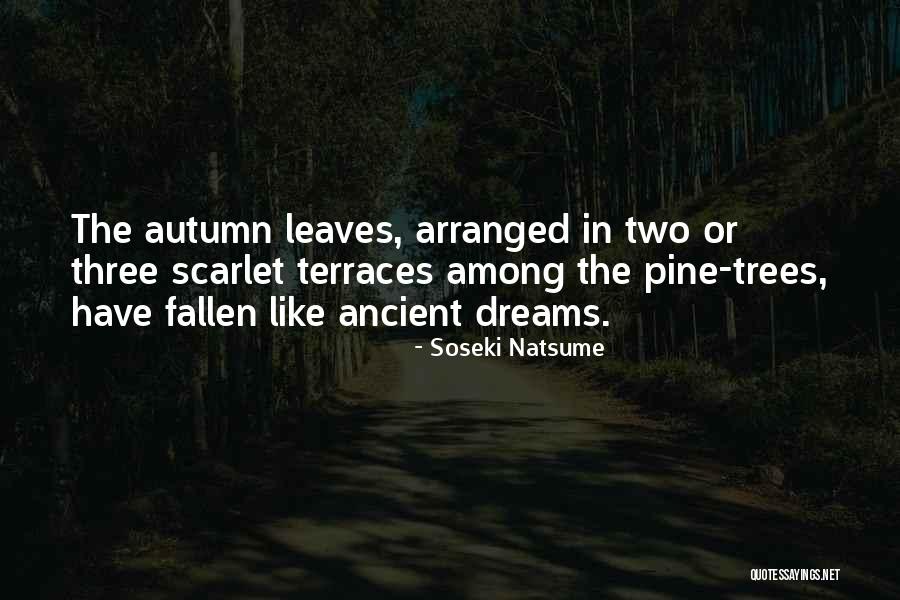 Fallen Leaves Quotes By Soseki Natsume Fallen Leaves Quotes By Soseki Natsume