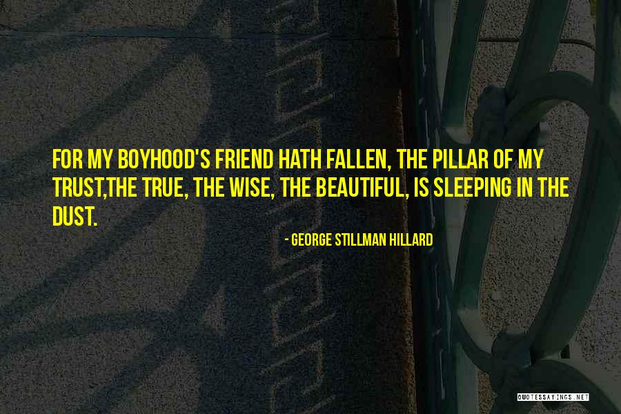 Fallen Out Friends Quotes By George Stillman Hillard Fallen Out Friends Quotes By George Stillman Hillard