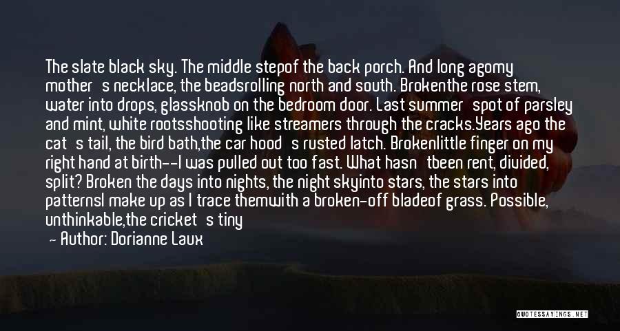 Fallen Stars Quotes By Dorianne Laux