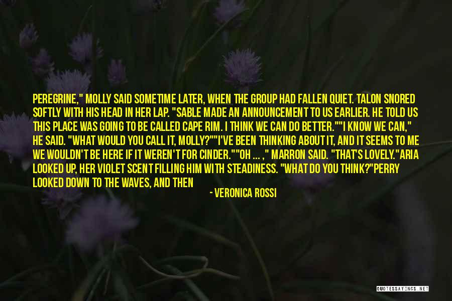 Fallen Stars Quotes By Veronica Rossi