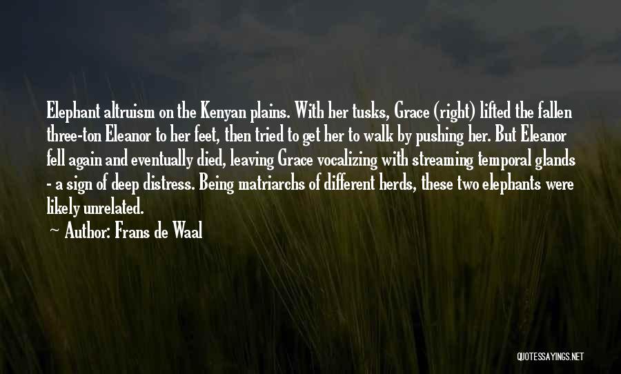 Fallen Too Deep Quotes By Frans De Waal