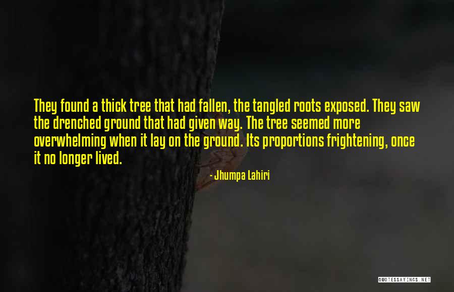 Fallen Tree Quotes By Jhumpa Lahiri Fallen Tree Quotes By Jhumpa Lahiri