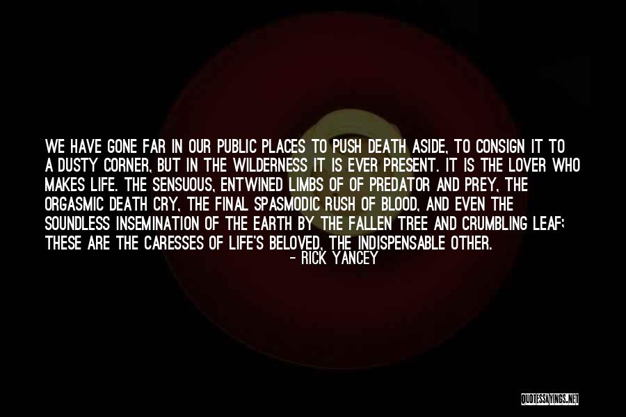 Fallen Tree Quotes By Rick Yancey Fallen Tree Quotes By Rick Yancey