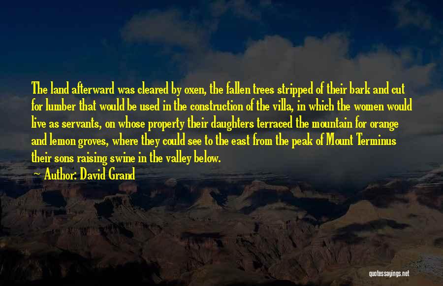 Fallen Trees Quotes By David Grand