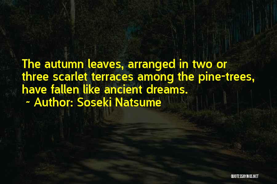 Fallen Trees Quotes By Soseki Natsume