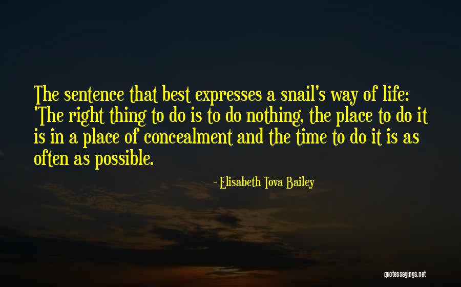 Fallibilist View Quotes By Elisabeth Tova Bailey Fallibilist View Quotes By Elisabeth Tova Bailey
