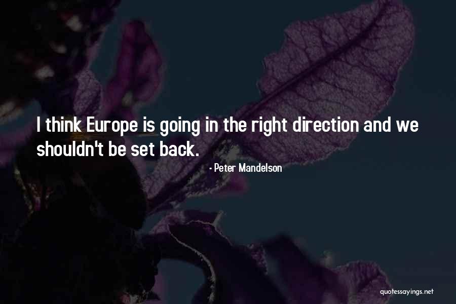 Fallibility Wikipedia Quotes By Peter Mandelson Fallibility Wikipedia Quotes By Peter Mandelson