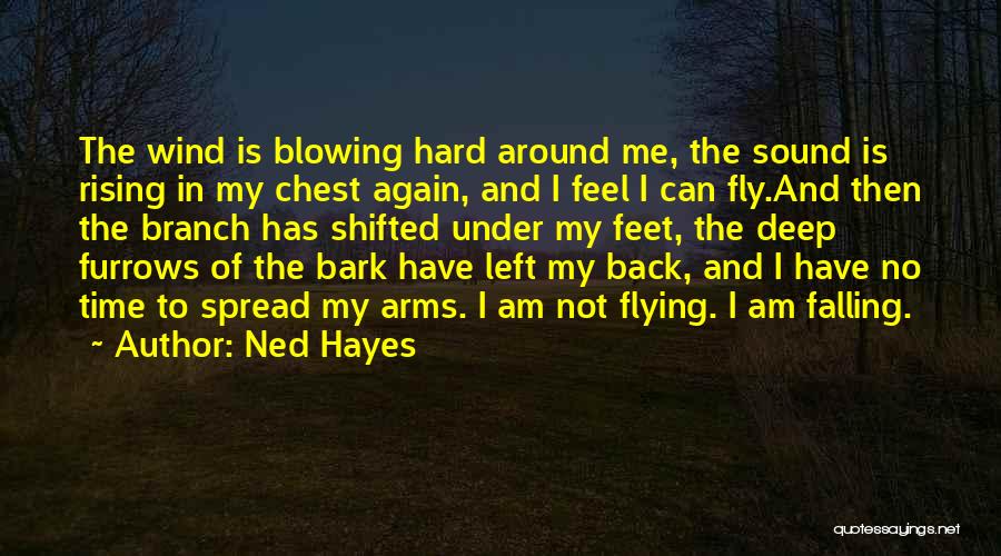 Falling And Rising Again Quotes By Ned Hayes