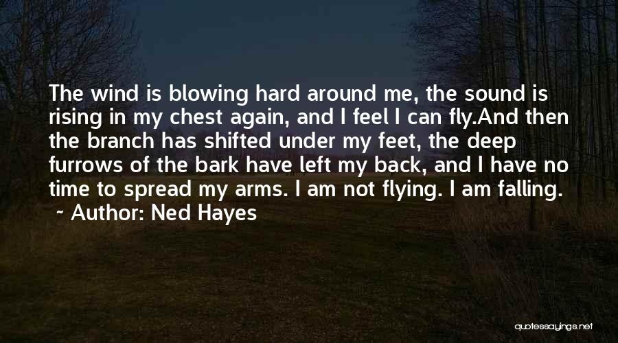 Falling And Rising Up Again Quotes By Ned Hayes