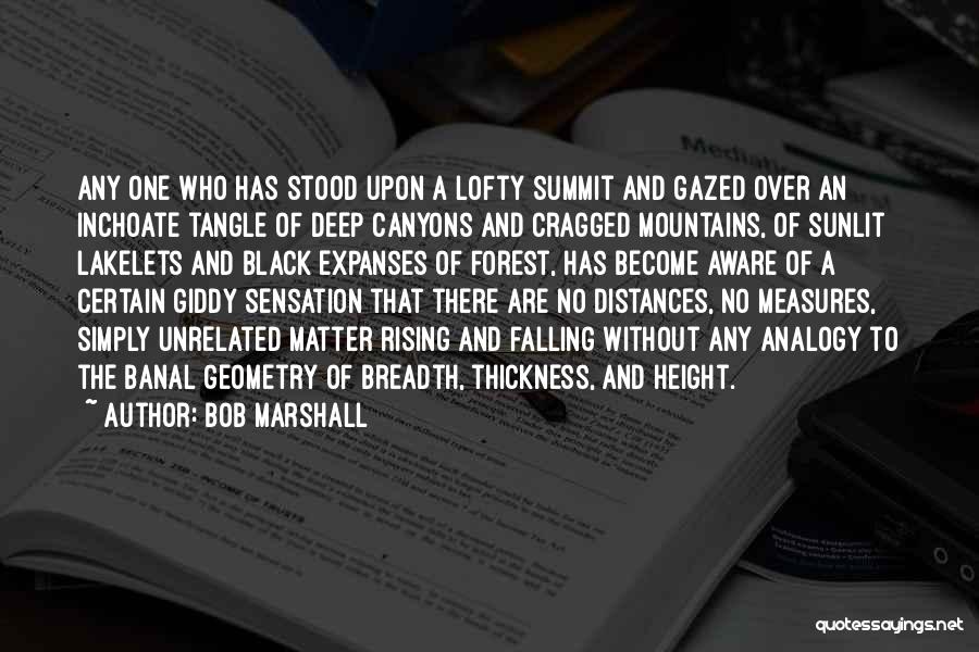 Falling And Rising Up Quotes By Bob Marshall