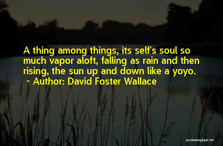 Falling And Rising Up Quotes By David Foster Wallace