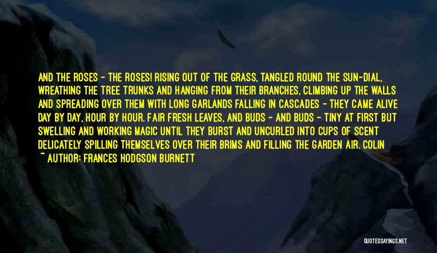 Falling And Rising Up Quotes By Frances Hodgson Burnett